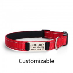Dog Nylon Engraved Collar Reflective Padded Personalized Dog With Name Plate Customized Pet Collars