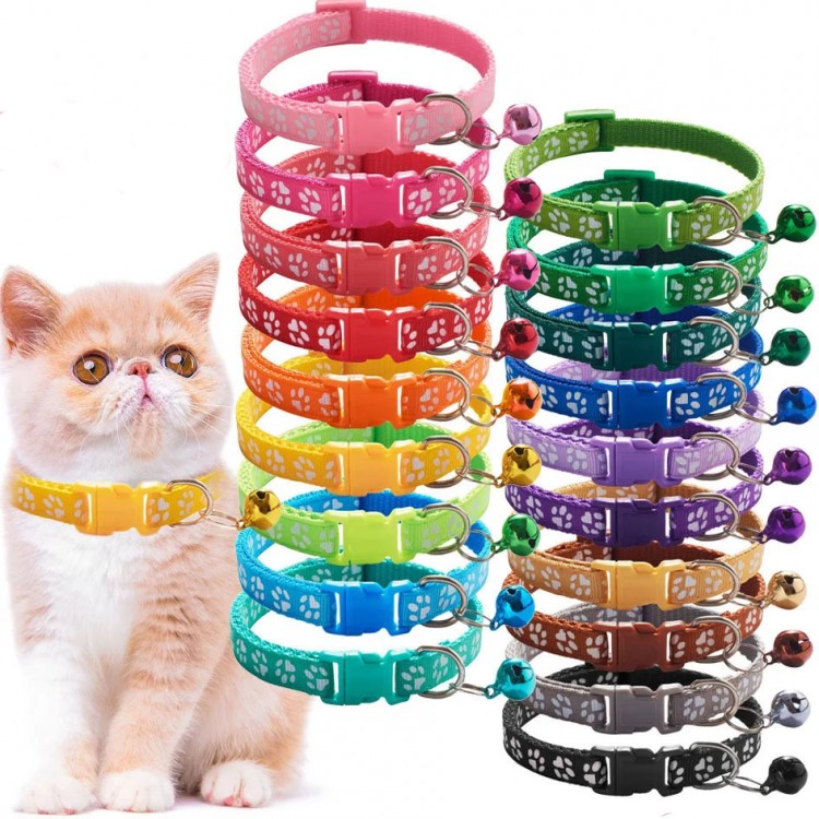Custom Cat Adjustable Collar Custom Cat Adjustable Collar