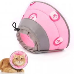 Cat Cone Recovery Collar