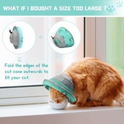 Recovery Collar