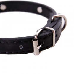 Dog Adjustable Collar