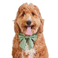 Custom Pet Bandana Set