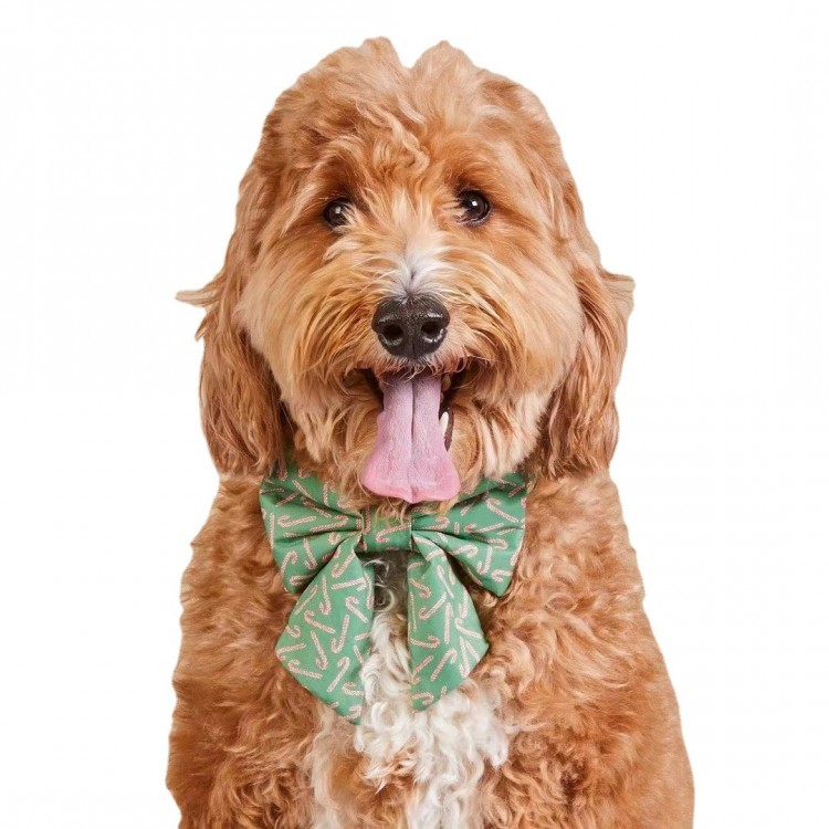 Custom Pet Bandana Set Custom Pet Bandana Set