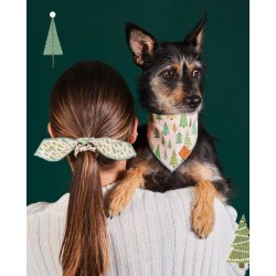 Bandana Set