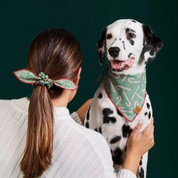 Custom Pet Bandana Set Harness Security Safety Dog Harness and Leash Bandana Set Pet Accessories Set