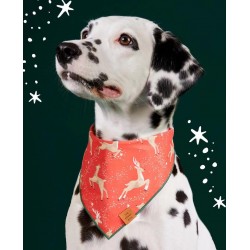 Custom Pet Bandana Set Harness Security Safety Dog Harness and Leash Bandana Set Pet Accessories Set