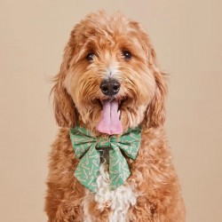 Custom Pet Bandana Set Harness Security Safety Dog Harness and Leash Bandana Set Pet Accessories Set