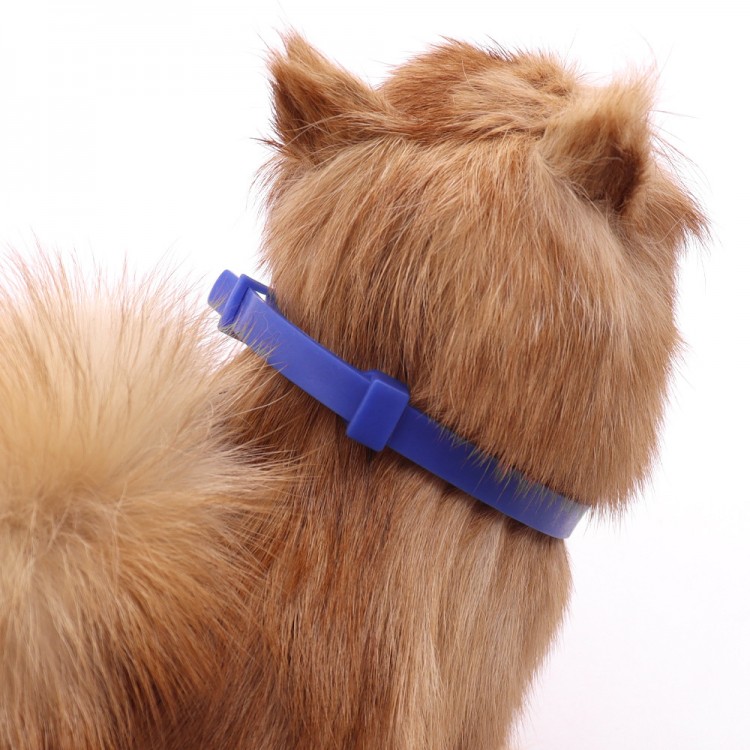 Pet Reduce Anxiety Collar Pet Reduce Anxiety Collar