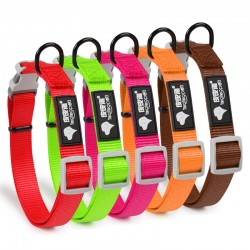 Custom Dog Nylon Collar