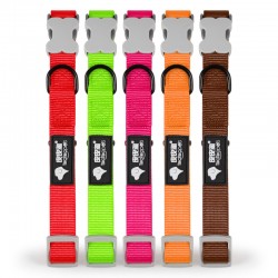 Dog Nylon Collar
