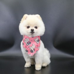 Neck Scarf