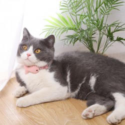 Cat Cotton Adjustable Collar Product Hot Sale Colorful Plaid Design Cat Collar