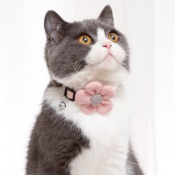 Custom Cat Adjustable Collar