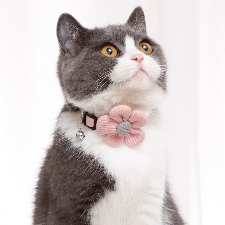 Custom Cat Adjustable Collar Custom Cat Adjustable Collar