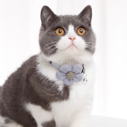 Custom Cat Adjustable Collar Cute Dog Collar with Flower Decorated Colorful Pet Products Wholesale