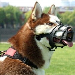 Durable Dog Breathable Muzzle Different Sizes Adjustable Nylon And Neoprene Protect Dog Muzzles For Dogs