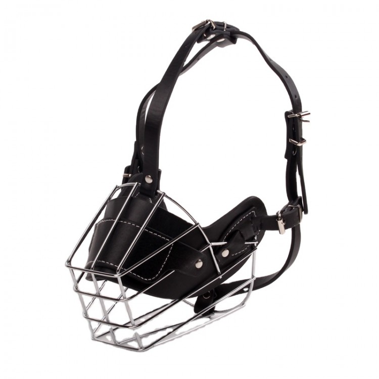 Custom Iron Dog Muzzle Custom Iron Dog Muzzle