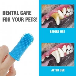 Toothbrush Gum