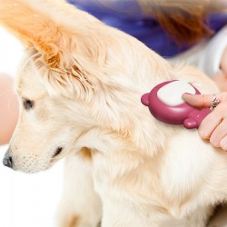 Cleaning Dog Brush