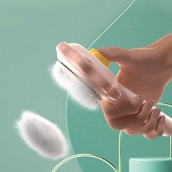 Removal Brush