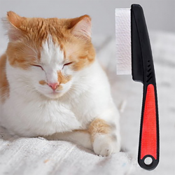 Short Dog Comb