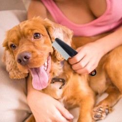 Anti-Flea Short Dog Comb Stainless Steel Pet Hair Remover Brush Pet Grooming Tools Cat Products