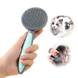Pet Pumpkin Hair Brush