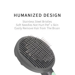 Hair Brush