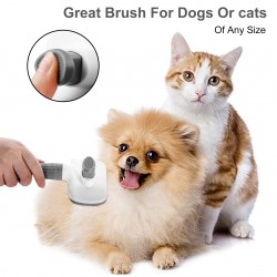 Hair Brush
