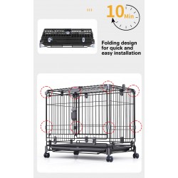 Cats and Rabbits Are Available Dog Cage
