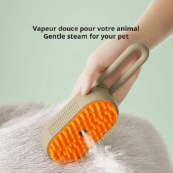 Hair Brush