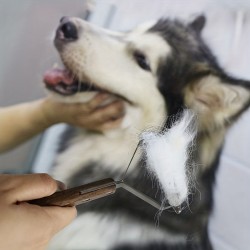 Walnut Wood Dog Comb Knot Floating Hair Removal Dog and Cat Cleaning Teddy Bear Golden Hair Special Comb Tool