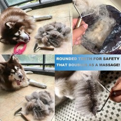 Walnut Wood Dog Comb Knot Floating Hair Removal Dog and Cat Cleaning Teddy Bear Golden Hair Special Comb Tool