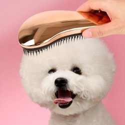Custom Dog Massage Comb