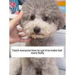 Custom Dog Massage Comb Bath Brush Teddy Special Cat Comb to Float Hair Comb Brush Detangling Brush