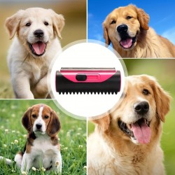 Portable Pet Grooming Comb Practical Pet Bath Brush Reusable Pet Hair Cleaning and Remover Tool for Cats and Dogs