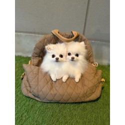 Wholesale Convertible Pet Carrier