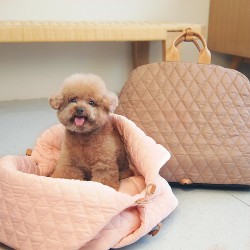 Convertible Pet Carrier
