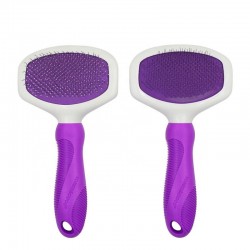 Hair Brush