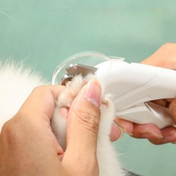 Custom Pet Nail Clipper Professional Led Light Cat Dog Nail Clipper With Battery Pet Nail Scissor Safe With Led Light