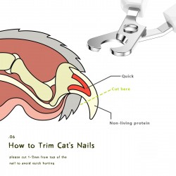 Custom Pet Nail Clipper Cutter Stainless Steel Grooming Scissors Clippers Claws Scissor Cut Pets Supplies