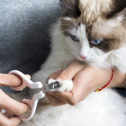 Custom Pet Nail Clipper Cutter Stainless Steel Grooming Scissors Clippers Claws Scissor Cut Pets Supplies
