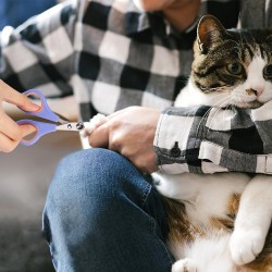 Custom Pet Nail Trimmer Pet Grooming Product Light Beige Cat Small Dog Nail Clipper Pet Cat Nail Clipper