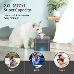 Pet Water Fountain for Cats and Small Dogs