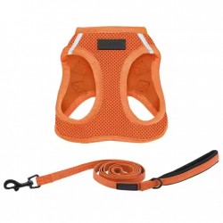 Custom Pet Harness Set