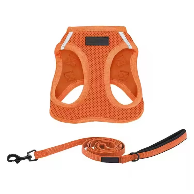 Custom Pet Harness Set Custom Pet Harness Set