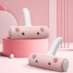 Hair Remover Roller
