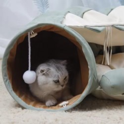 Foldable Plush Bed
