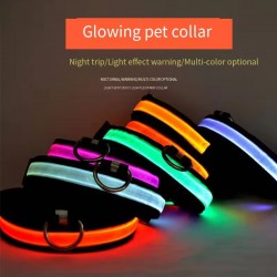 Wholesale Small Pet Collar LED Luminous Safety Glow Flashing Lighting Dog Collars for Puppy Small