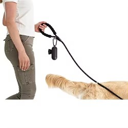 Wholesale Nylon Dog Leash Buffer Spring Chest Back Leash Factory Wholesale Metal Safety Buckle